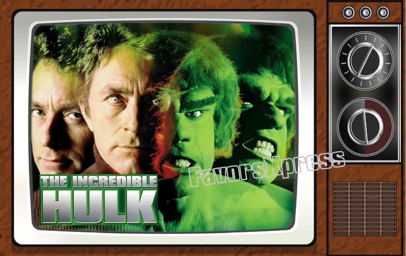 The Incredible Hulk Classic TV Show PHOTO MAGNET 4 X 2.5 INCHES