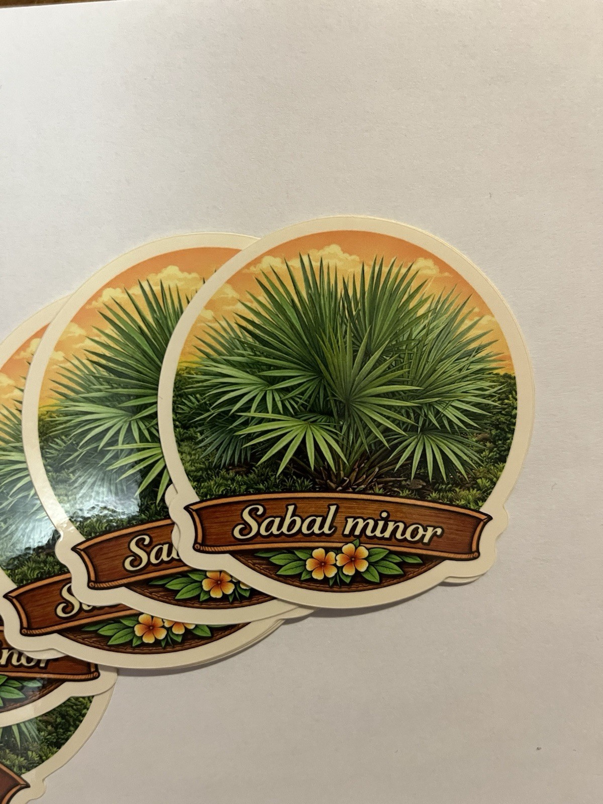 Sabal Minor Sticker 3” Vinyl Decal Dwarf Palmetto Cold Hardy Palm
