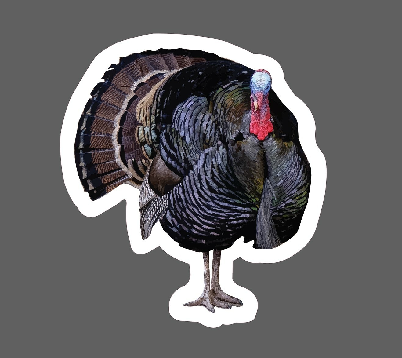 Turkey Sticker Realistic Waterproof – Buy Any 4 For $1.75 Each Storewide!