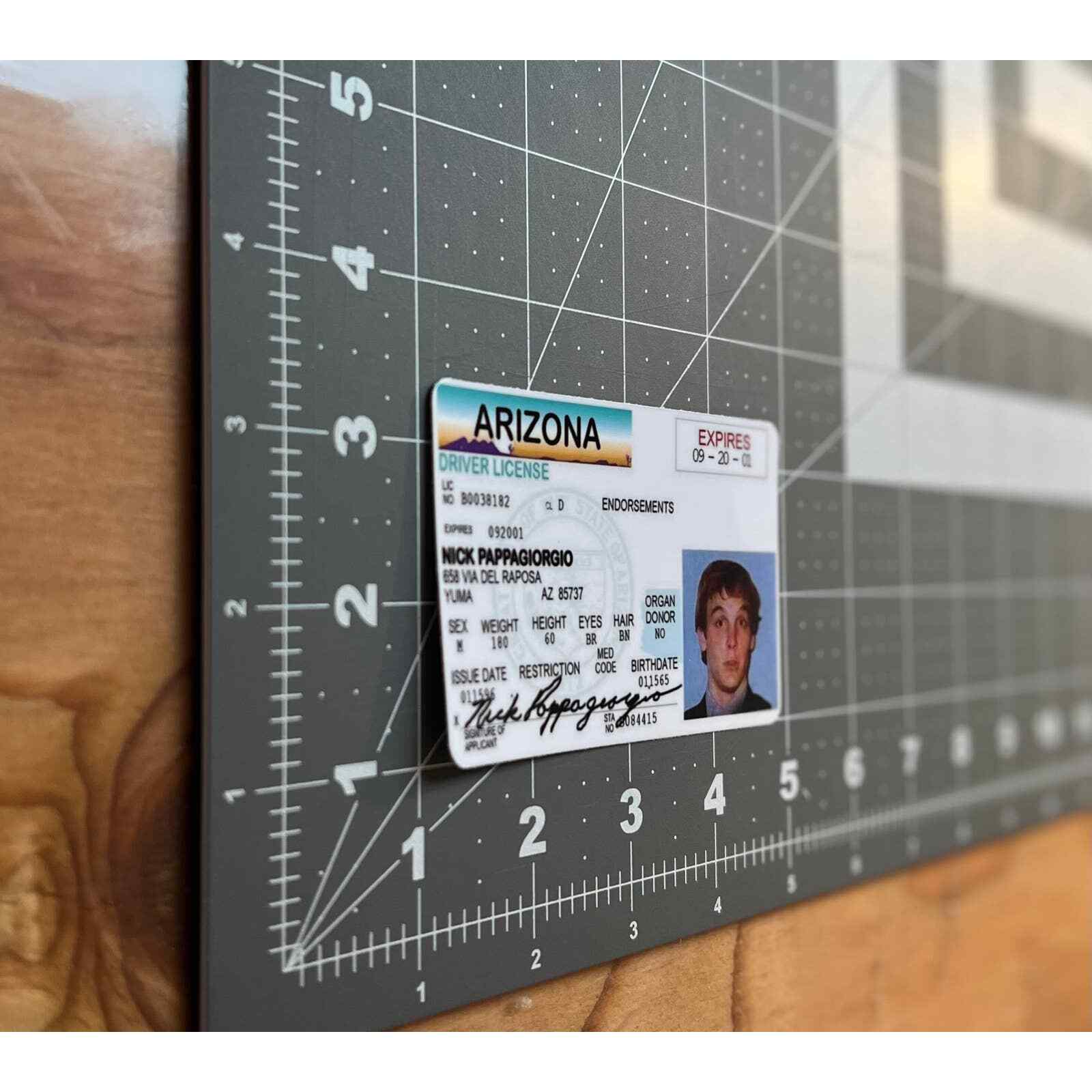 Vegas Vacation | Las Vegas | Nick Pappagiorgio | 4" Vinyl Sticker |