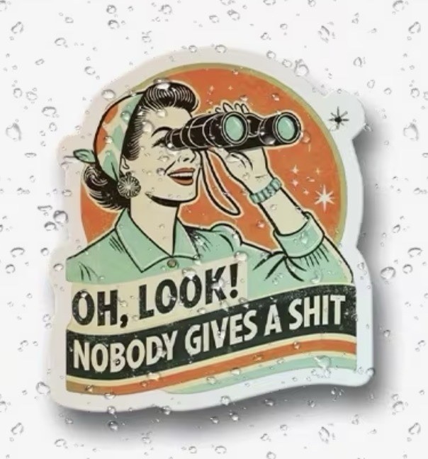Retro VTG GenX ‘Oh Look Nobody Gives A $h*t’ 2” Inch Vinyl Sticker Decal Funny