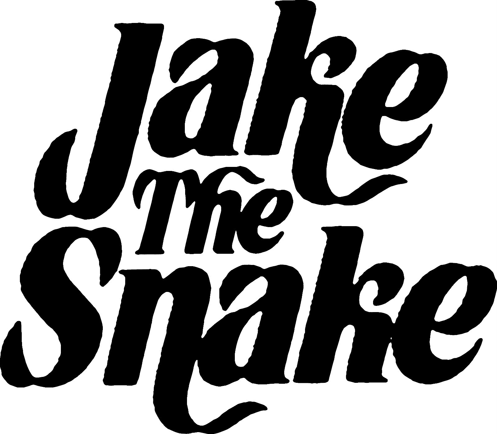 Jake the Snake vinyl decal sticker WWF Wrestling Beyond the Mat VHS DVD
