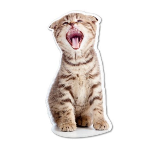 Kitty Meow Cute Car Vinyl Sticker – SELECT SIZE