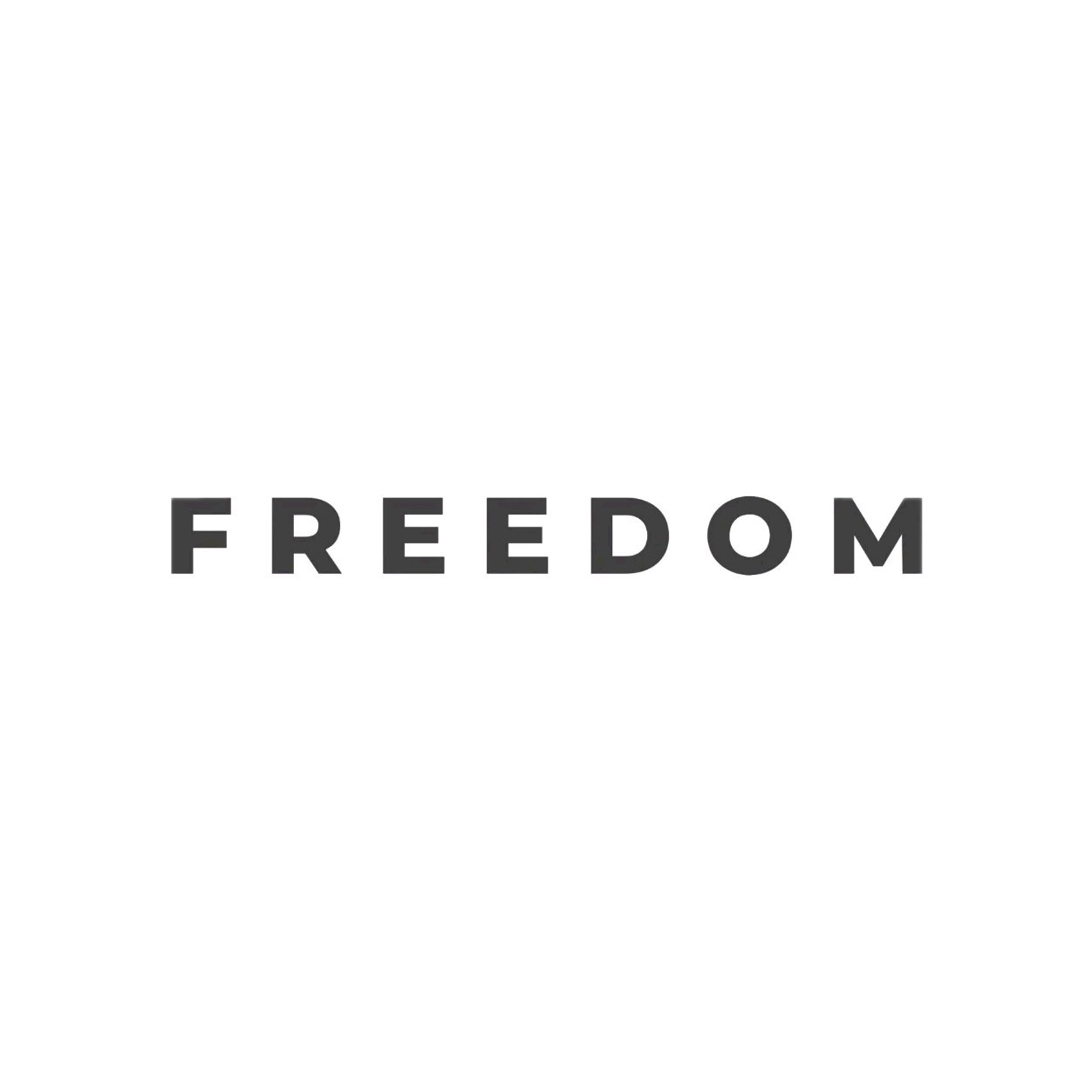 (6) FREEDOM Decal Vinyl Transfer Sticker Die Cut Car Window Laptop Charlie Kirk