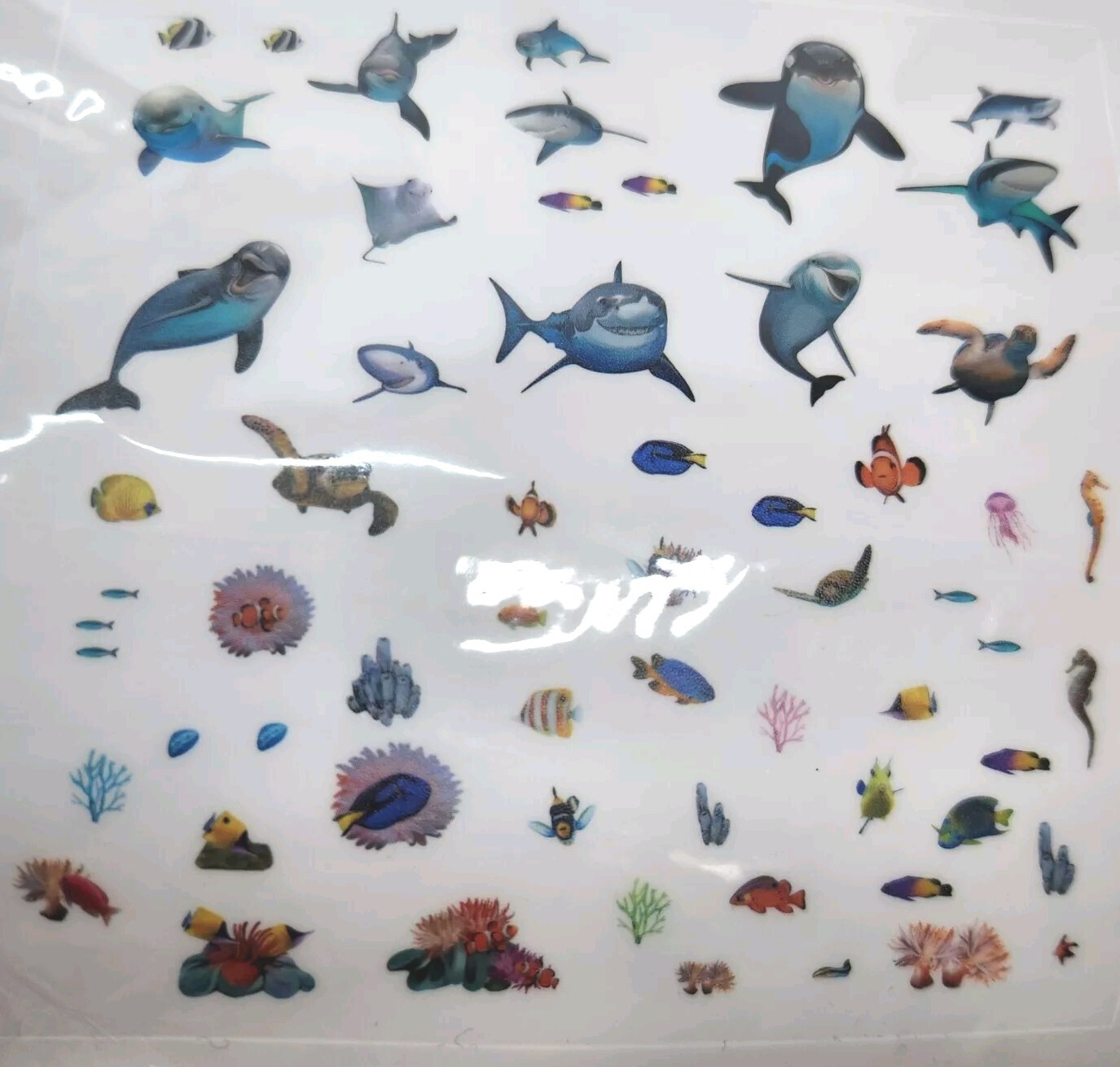 Ocean Life Wall Decals Shark Whale Turtle Dolphin Fish Peel & Stick Wall Set