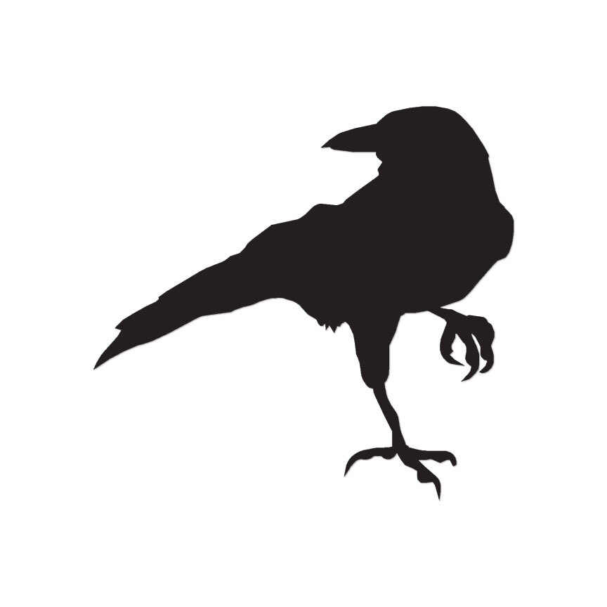 Crow Raven Jackdaw – Vinyl Decal Sticker – Multiple Color & Sizes – ebn834