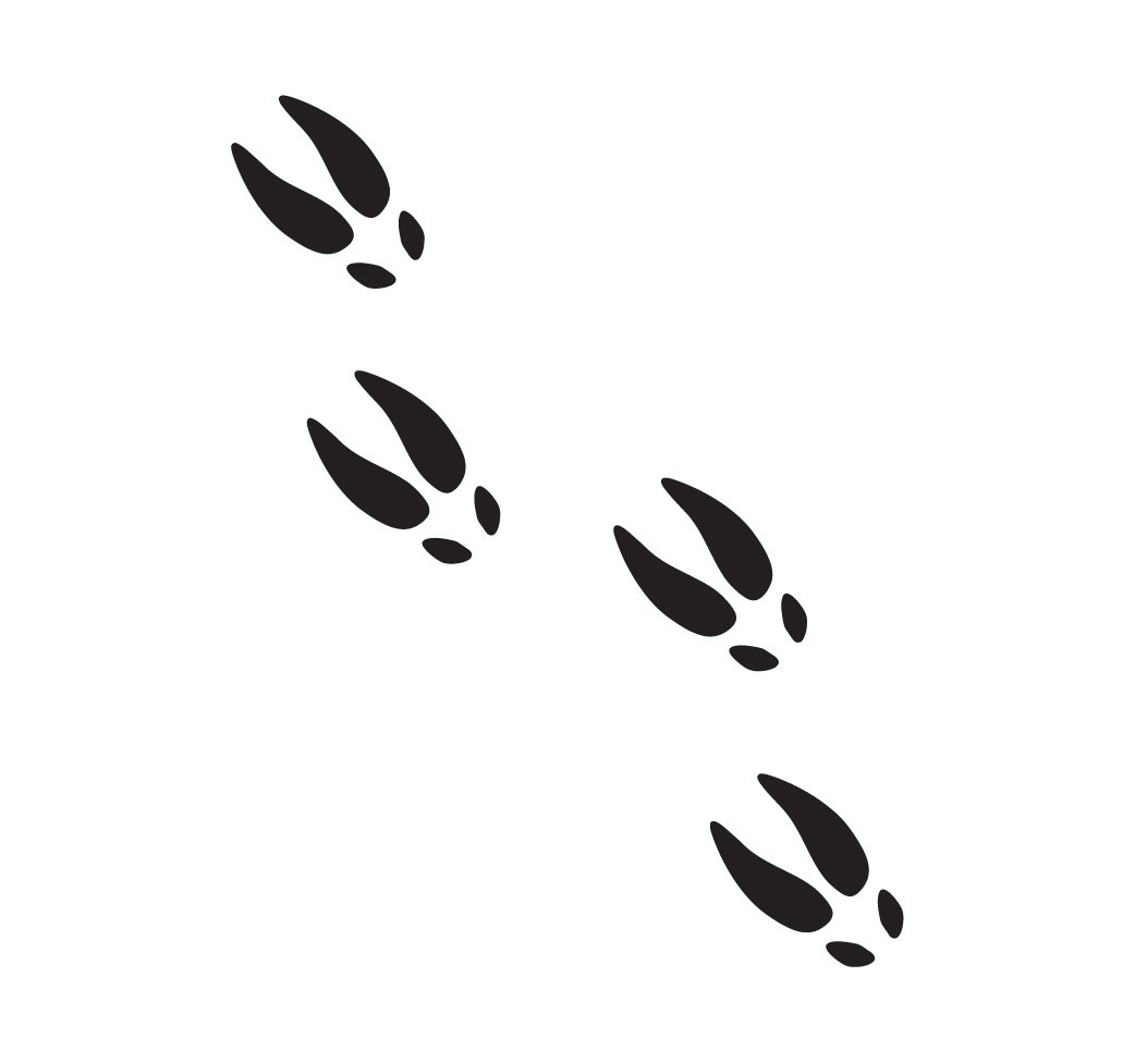 Deer Tracks Decals Sticker Hunting Hunter – 8 Colors and 3 Available