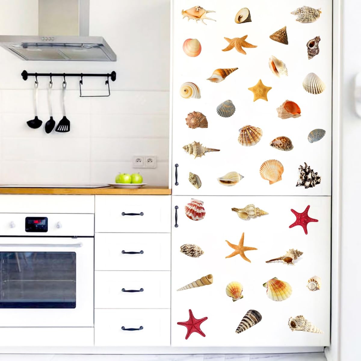 3D Under The Sea Shell Wall Stickers for Bathroom Removable Scallop Starfish …