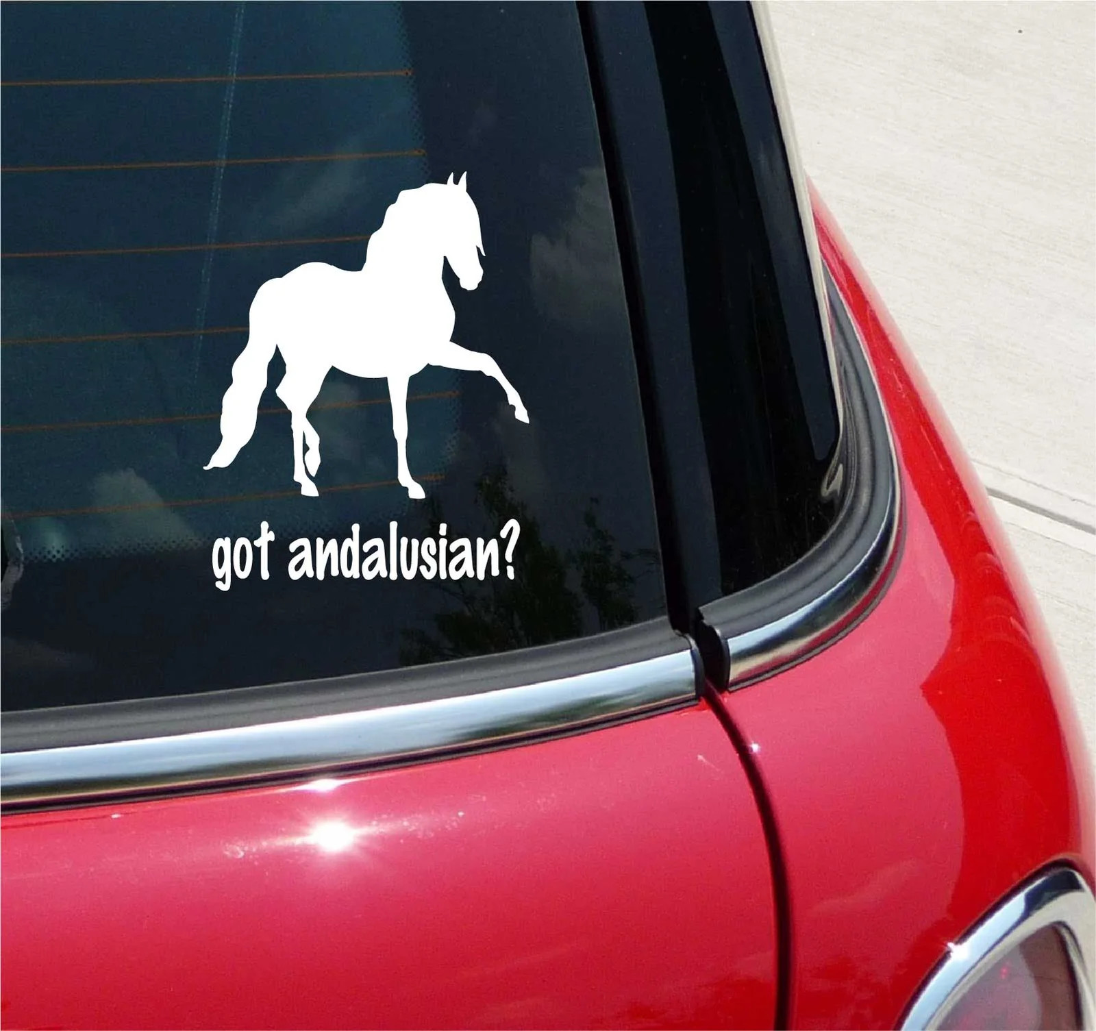 GOT ANDALUSIAN? ANDALUSIAN HORSE GRAPHIC DECAL STICKER ART CAR WALL DECOR