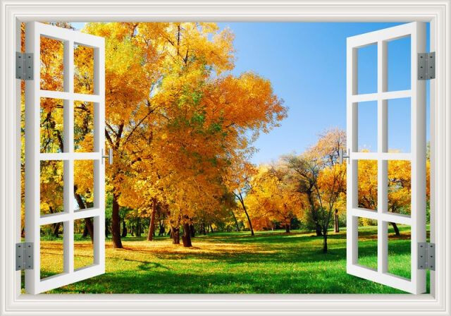Seasonal 3D Window Removable Wall Sticker Forest View Mural Home Décor