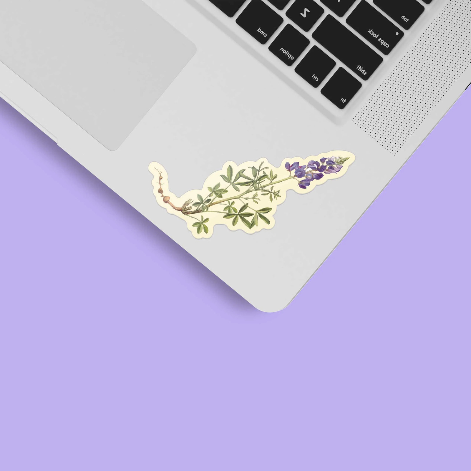 Mini Texas Bluebonnets Sticker – Cute TX Decals for Laptop & Water Bottle