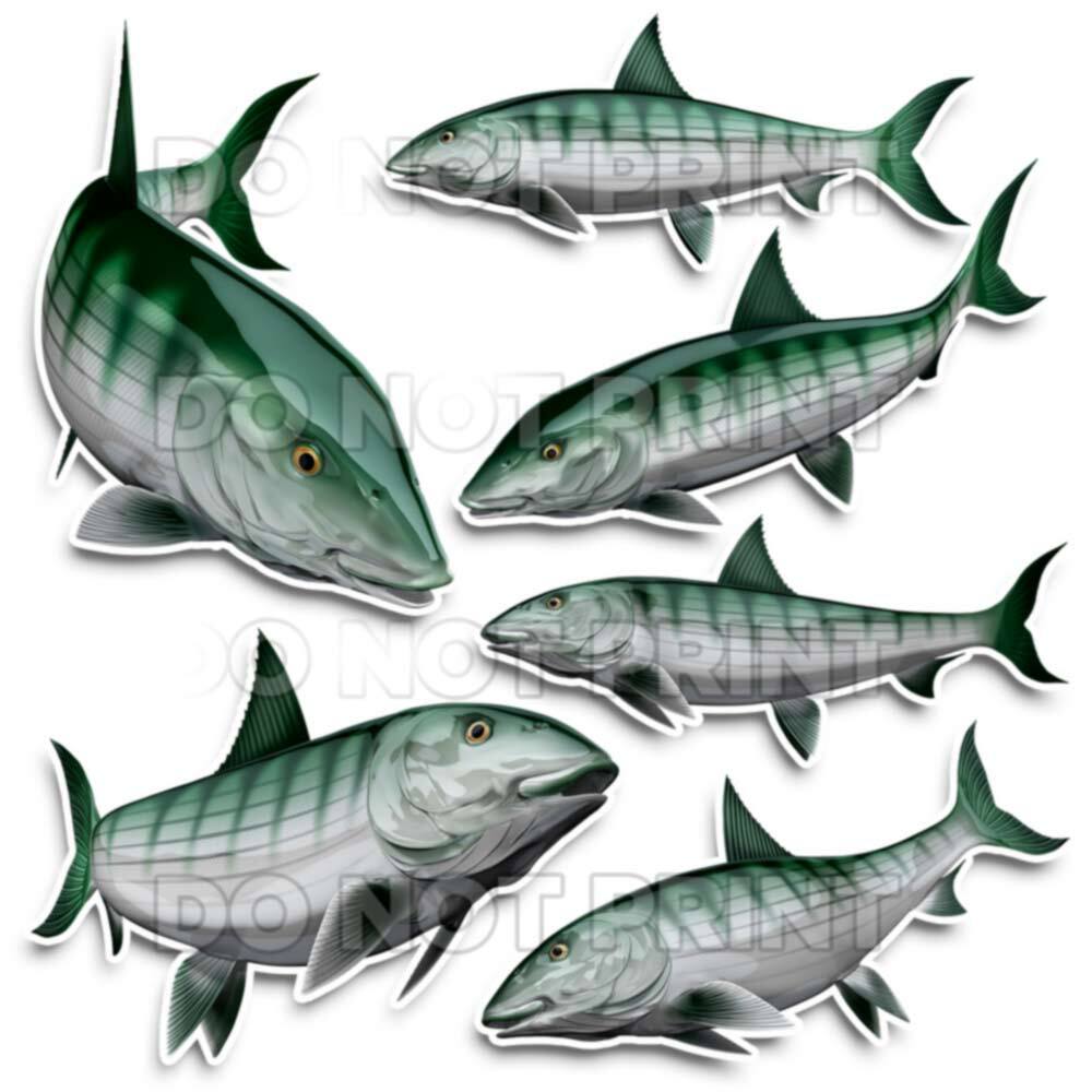 Bonefish Decals Fish Stickers Vinyl Tackle Box Stickers – Set of 2 #151