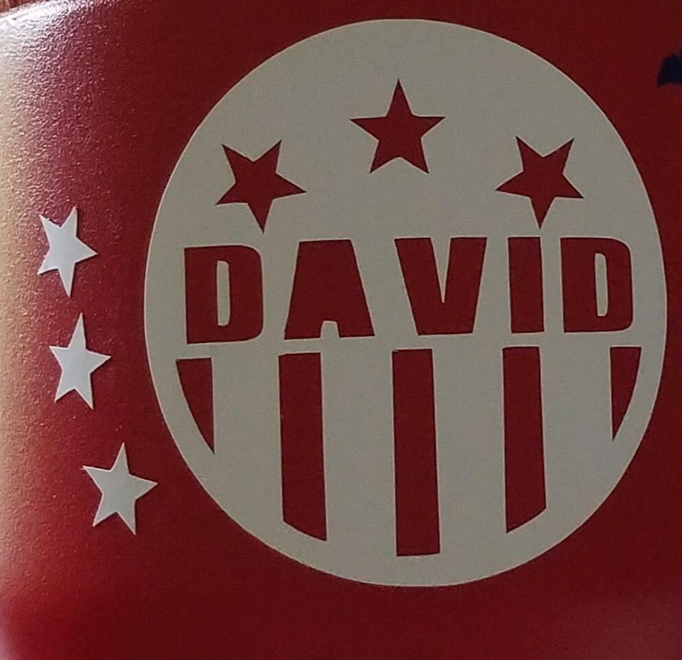 Custom-made Personalized Tumbler / Car Decals / Stickers FREE SHIPPING!!