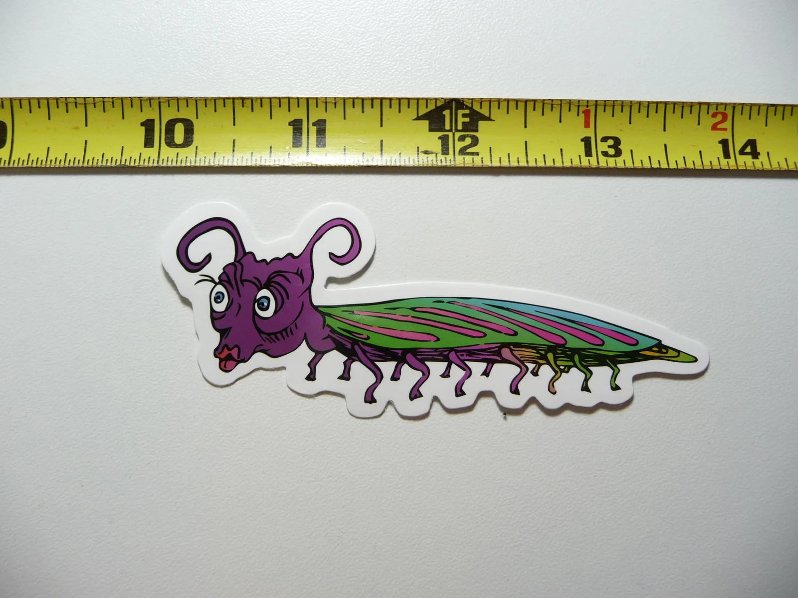SCOLOPENDRA CENTIPEDE ARTHROPOD SMALL STICKER DECAL BUG INSECT FUN