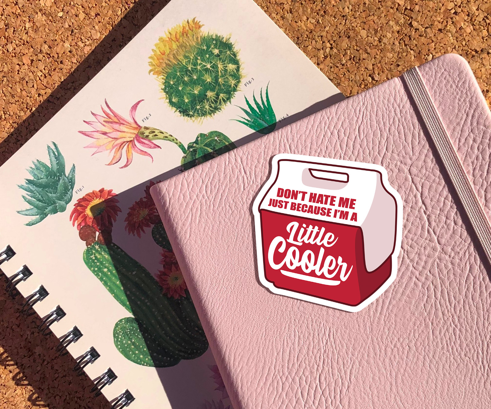 Don't Hate Me Just Because I'm A Little Cooler Vinyl Sticker – Funny Cool Decal