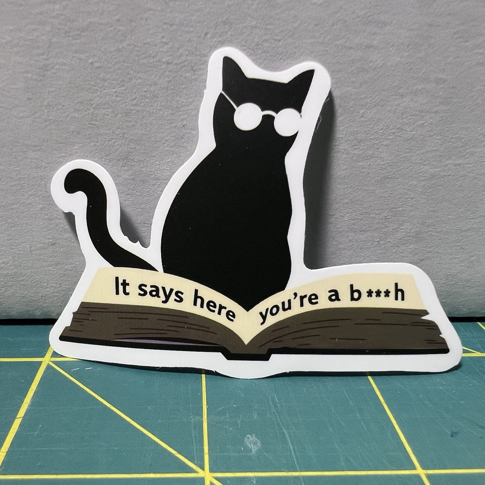 Funny Water Bottle Sticker Adult Humor Sticker