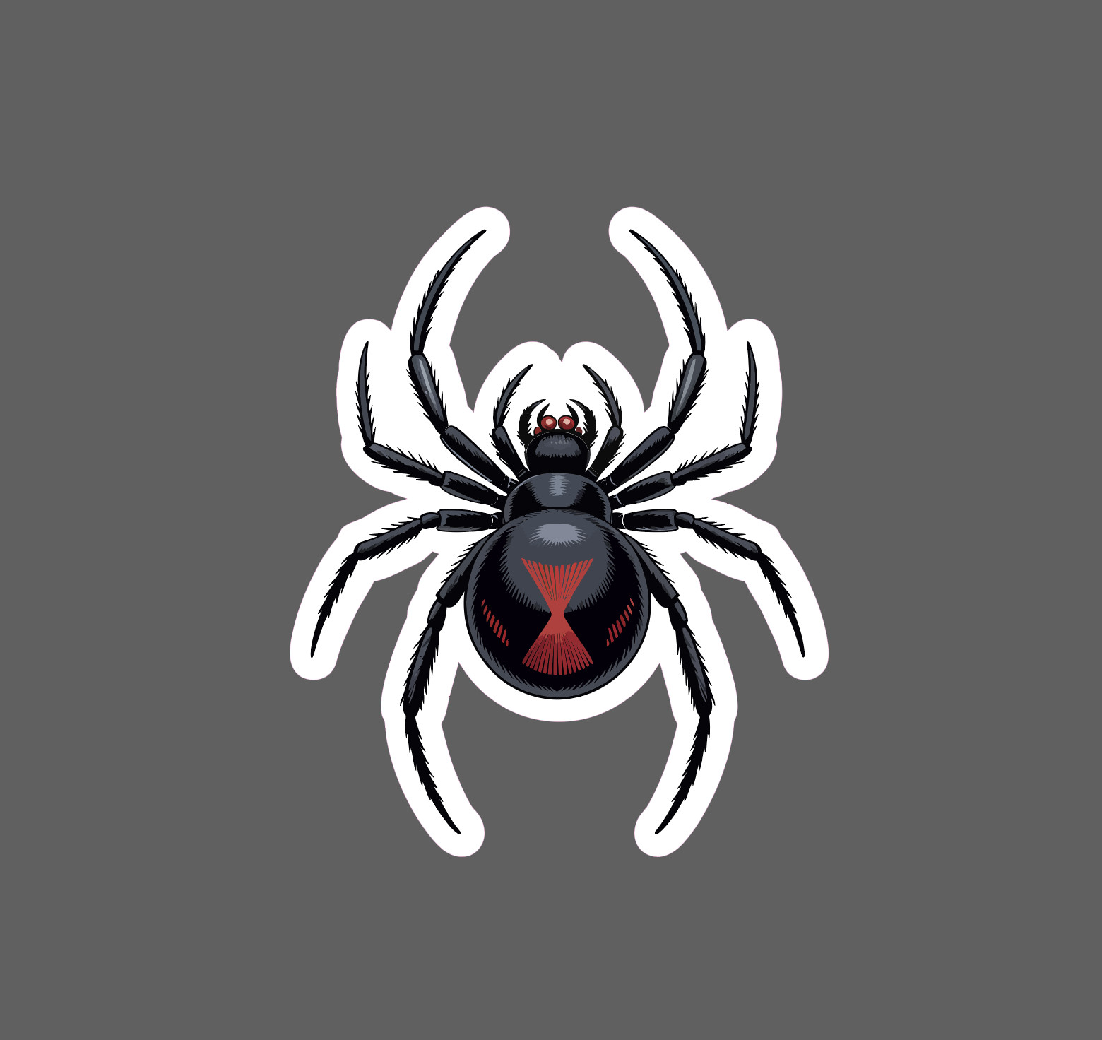 Black Widow Sticker Waterproof Decal Spider Animal Venom Wildlife Gift NEW