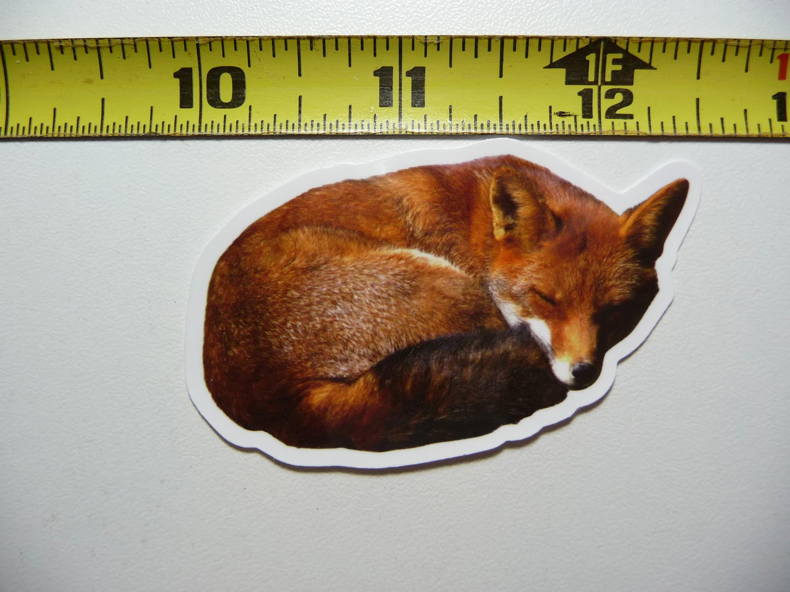 SLEEPING CURLED RED FOX DOG SMALL STICKER DECAL WILDLIFE PRESERVE NATURE ANIMAL