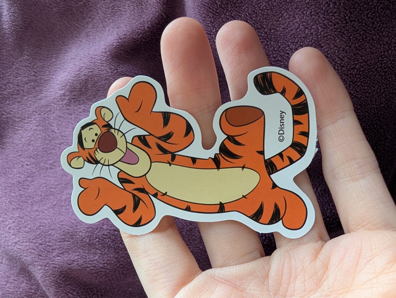 Winnie the Pooh Sticker | Whimsical Cartoon Vinyl, Tigger