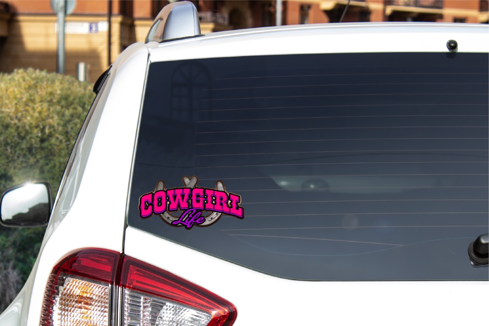 Cowgirl Life Decal Sticker Print & Die Cut Horseshoe Horse Ranch Country Western