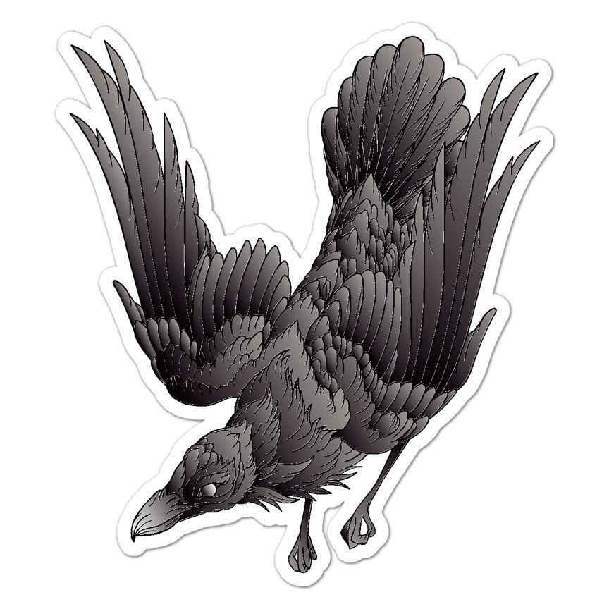 Raven Crow, Vinyl Decal Sticker, Indoor Outdoor, 3 Sizes, #9173