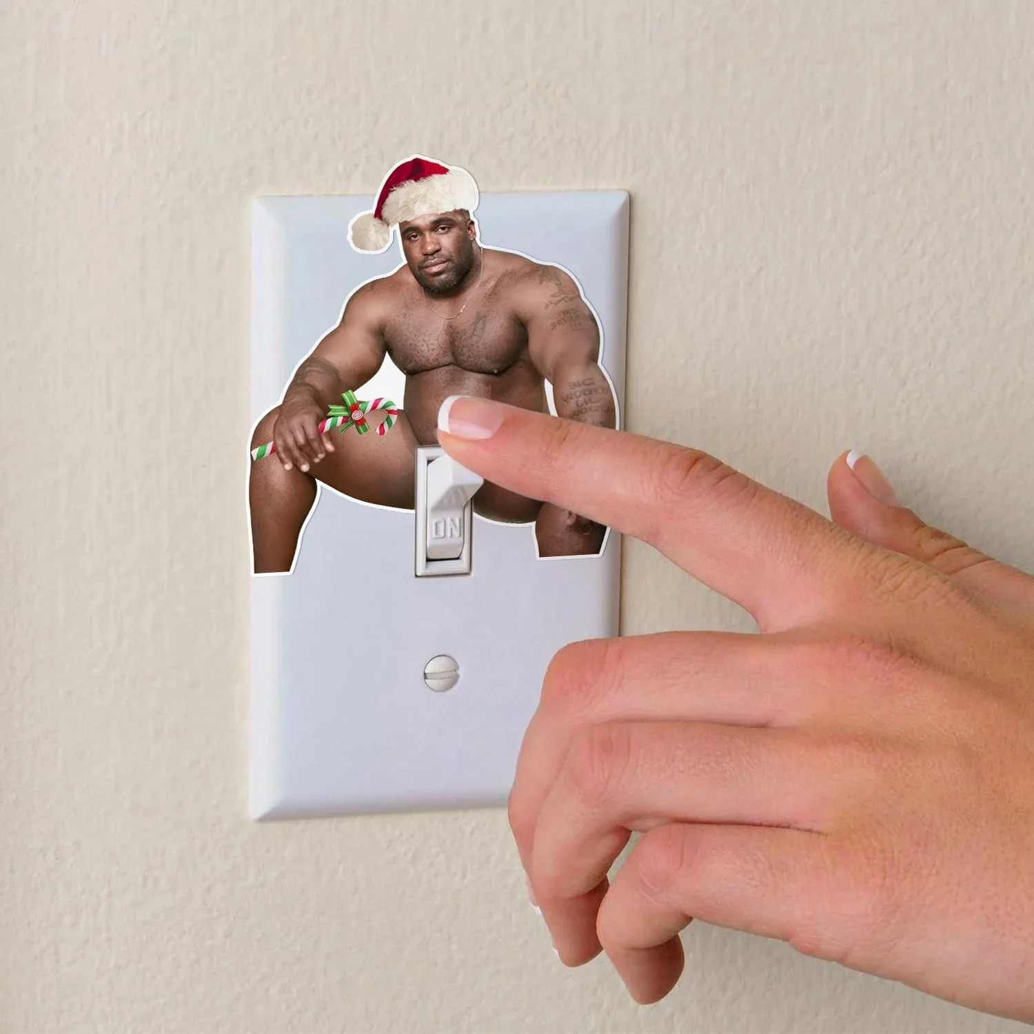 Funny Barry Wood Light Switch Decal Sticker 10 Pack for Wall Mural Prank