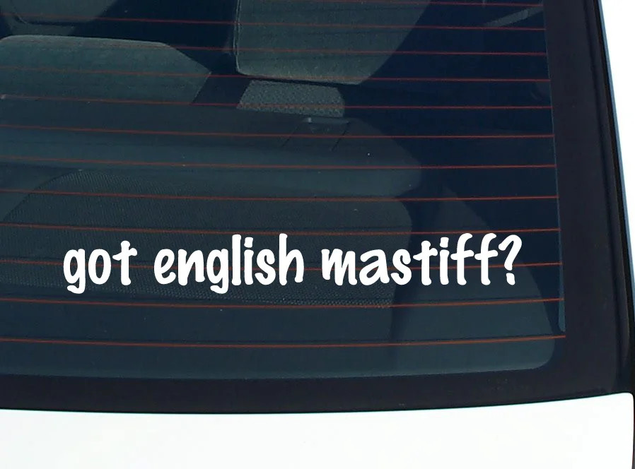 got english mastiff? CAR DECAL BUMPER STICKER VINYL FUNNY JOKE WINDOW