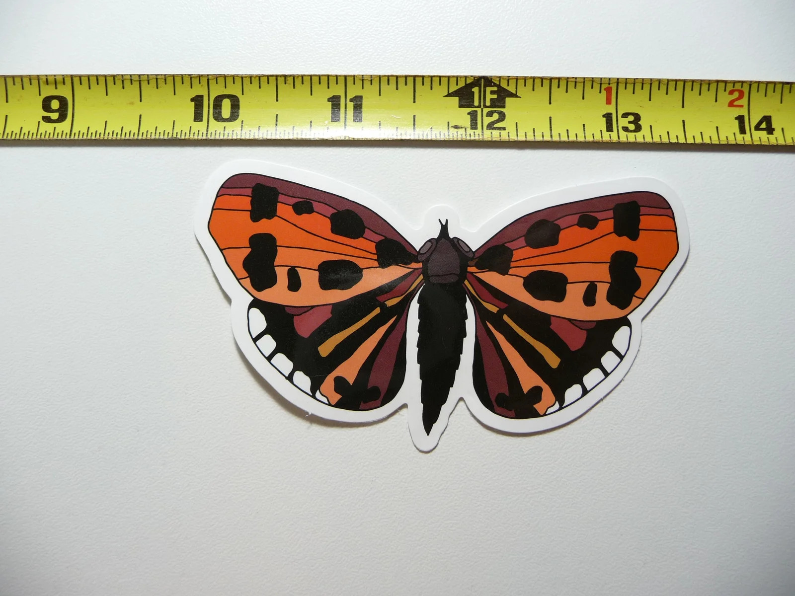 BUTTERFLY #4 SMALL STICKER DECAL BUG INSECT FUN FUNNY