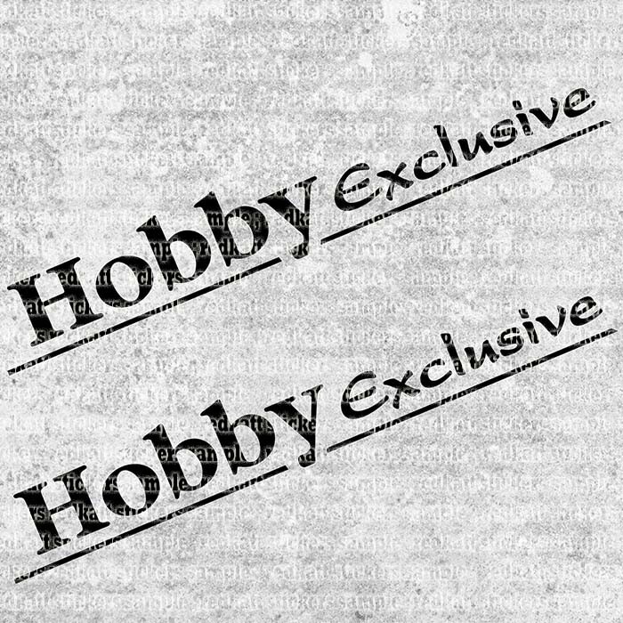 Hobby Exclusive decals for caravan 18" camper sticker set from ORACAL foil RV