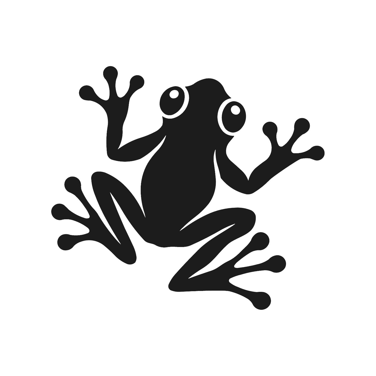 Tree Frog Top down view Vinyl Decal Wild Frogs Laptop Sticker