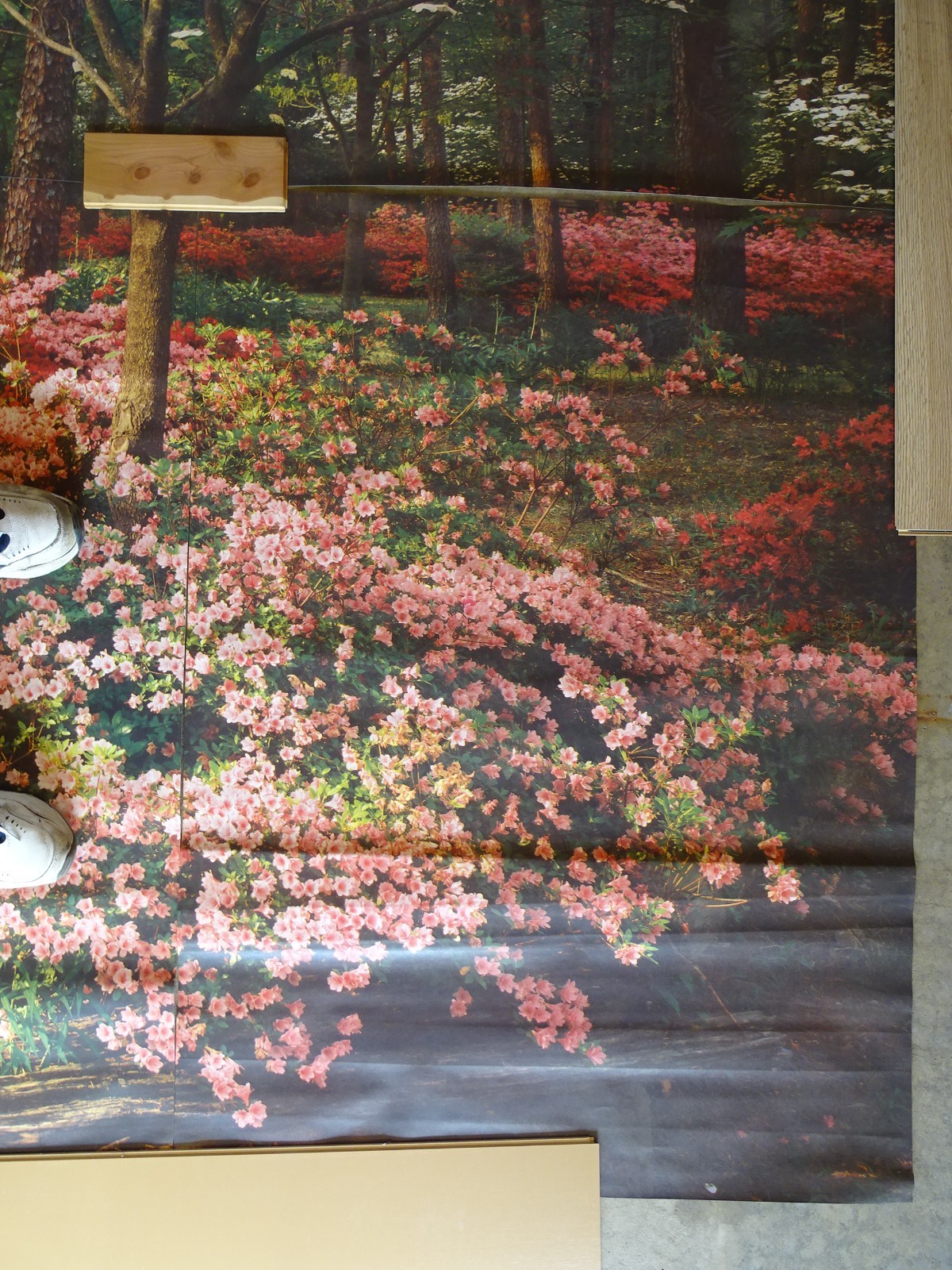 Full Wall Photo Mural Azaleas & Dogwoods Trees Railroad Track 8’ 8” x 12’ 6” NOS