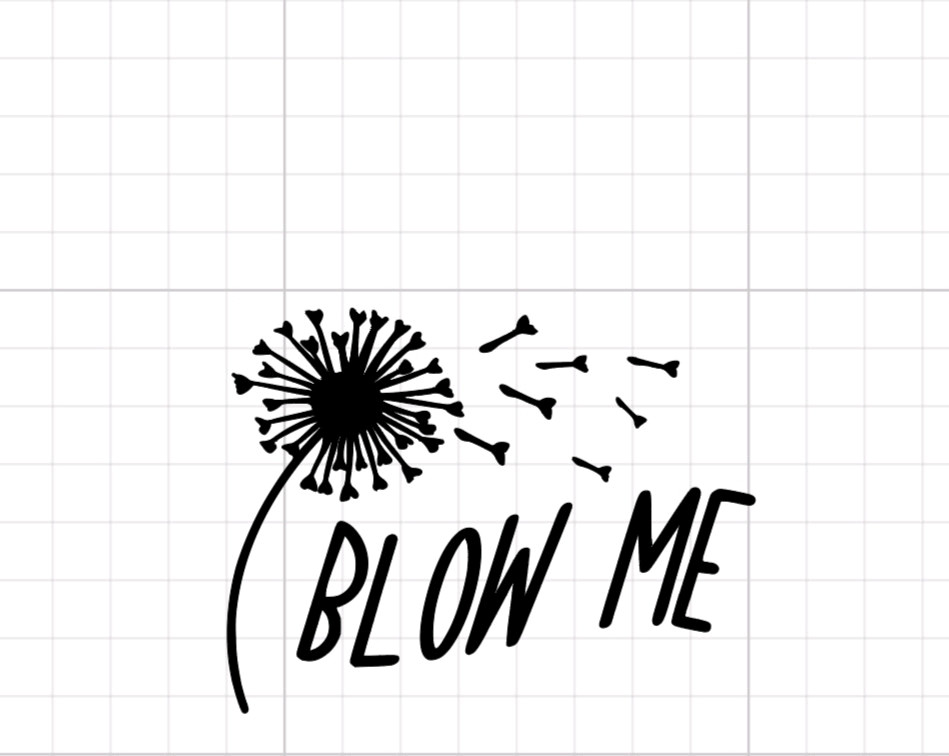 Blow Me Dandelion Heat Transfer Vinyl Iron On Image DIY Shirts Tote Bags