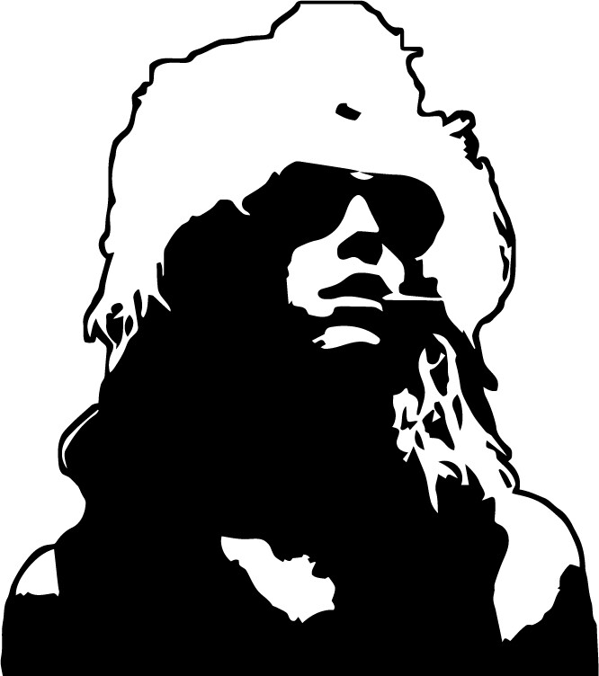 Duff McKagan VINYL DECAL sticker Guns N Roses Appetite for Destruction Axl Rose
