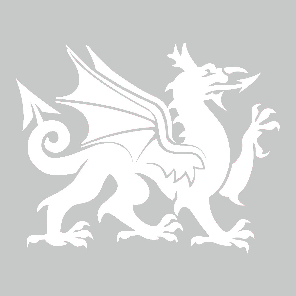 Welsh Dragon Vinyl Decal Sticker Car Camper Van Wall Art Cymru Ddraig Goch