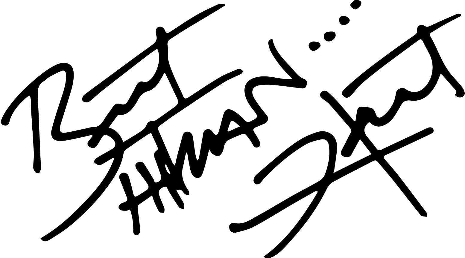 Bret "the hitman" Hart autograph vinyl decal signature wrestling wwe wwf