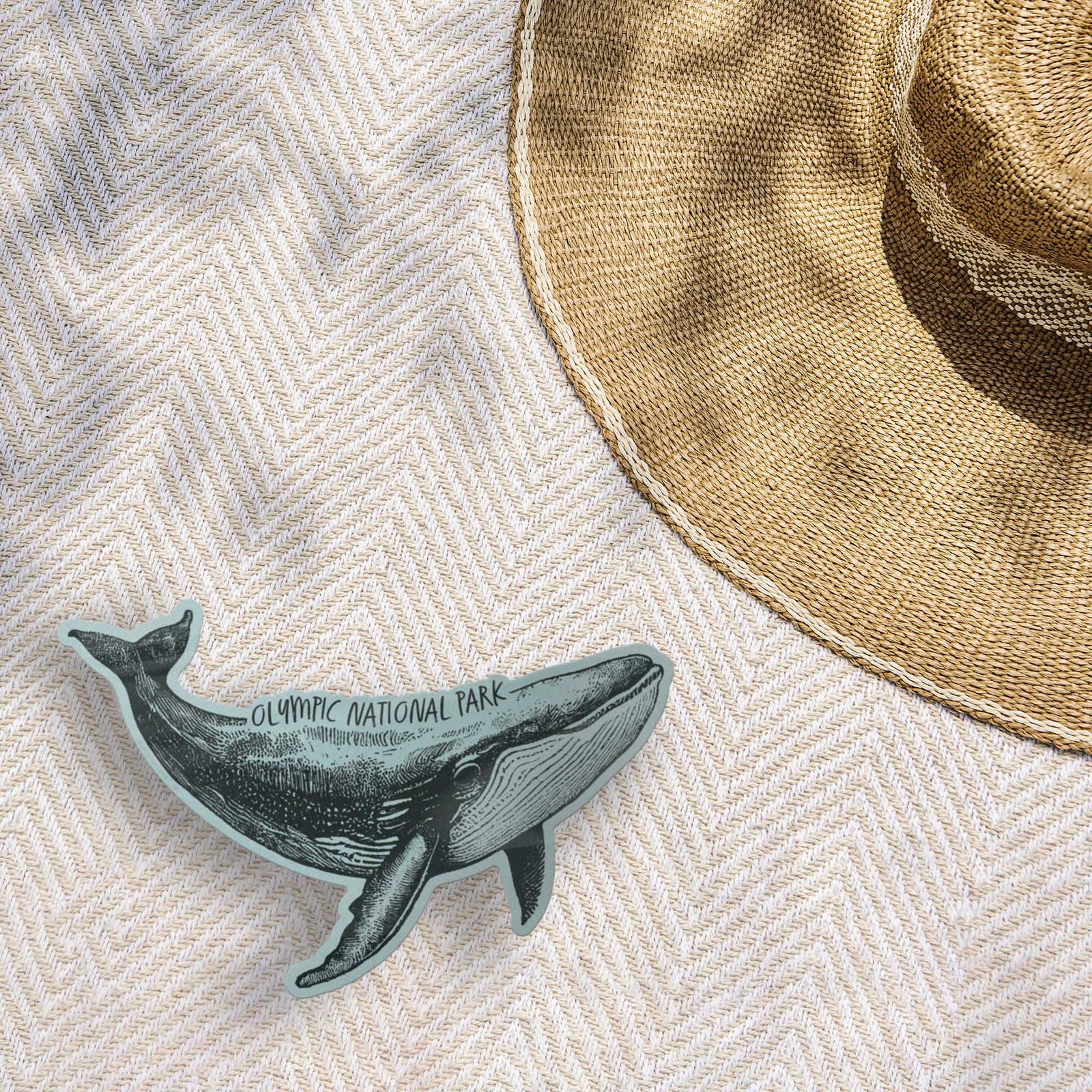 Olympic National Park Humpback Whale Sticker- WA Decal for Water Bottle & Laptop