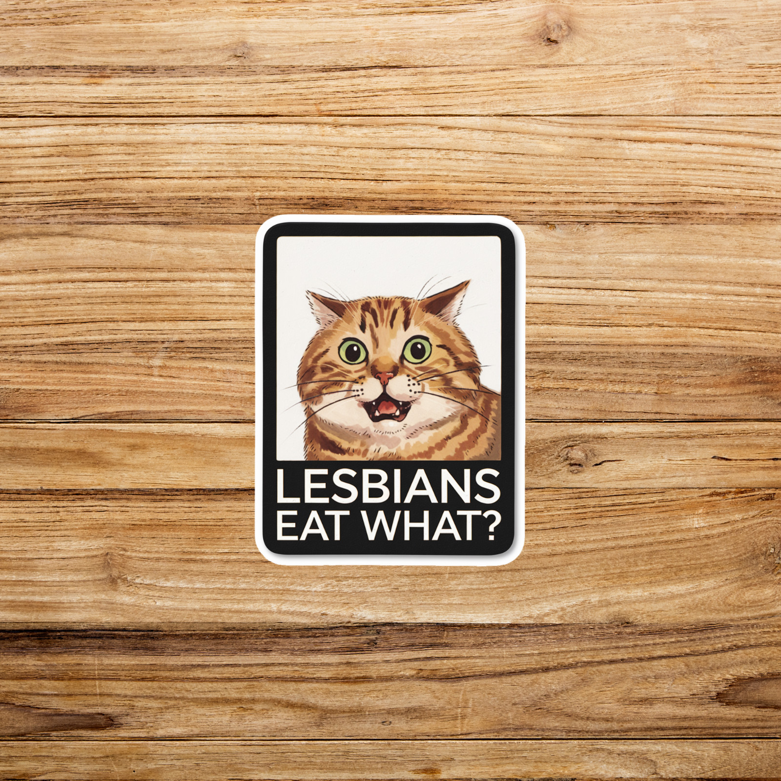Lesbians Eat What? Funny LGBTQ Surprised Cat Meme Sticker #2531