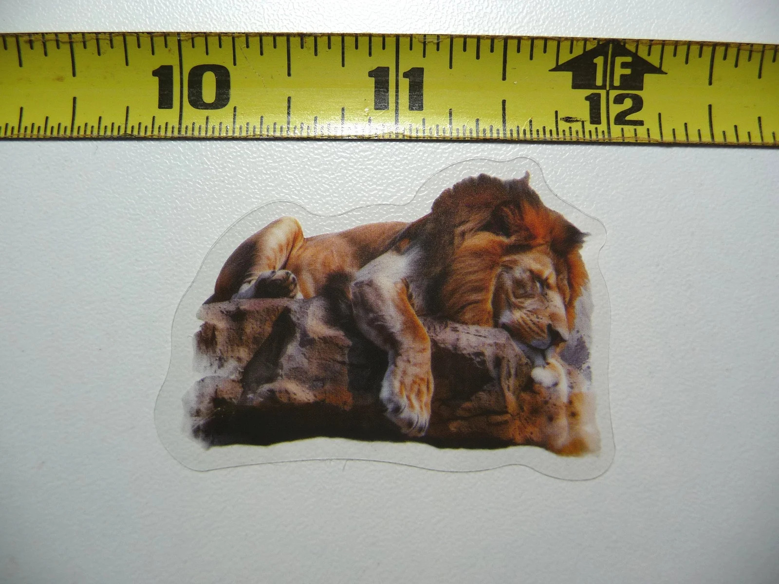 LION TAKING NAP SMALL STICKER DECAL WILDLIFE COLORFUL ZOO FUNNY