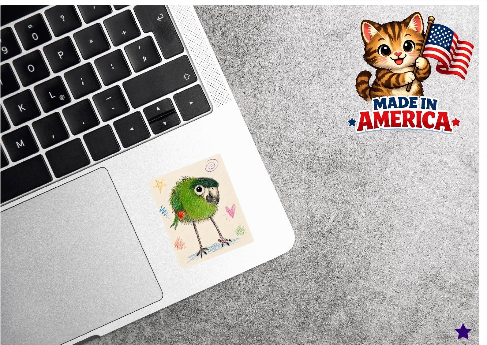 Funny Macaw Parrot Decal Sticker Hahns Greenwing Feathers Cute Bird Lady Gift