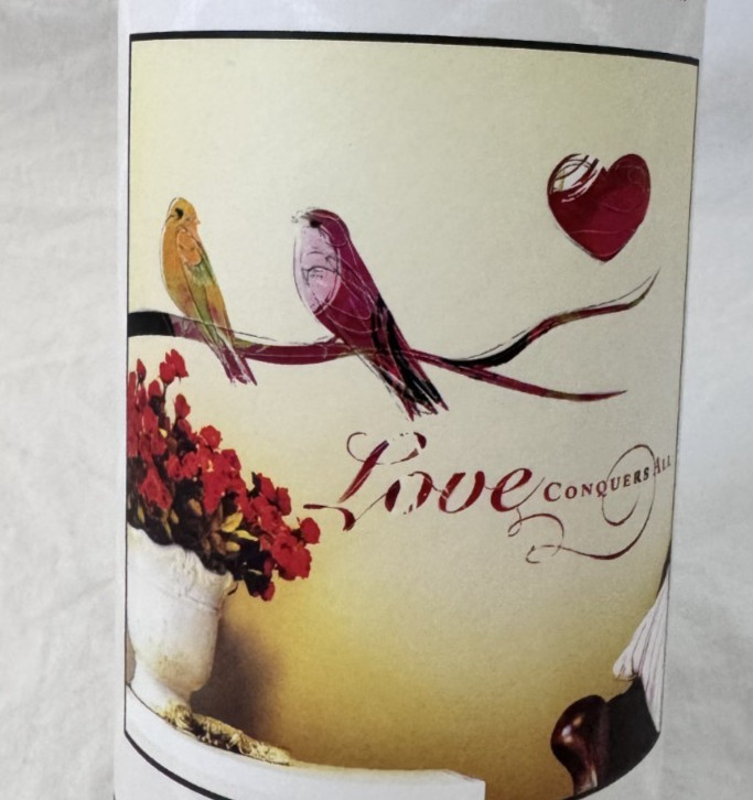 Designer Wall Accents Birds Love Conquers All Wall Art Decals NIP