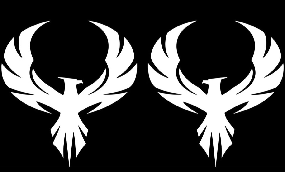 Phoenix Bird Two Pack 5.75" Mirrored Vinyl Decals Car Windows laptop notebook
