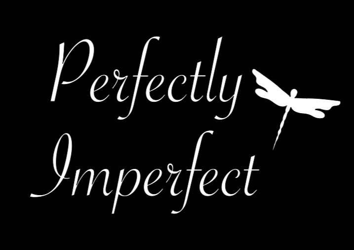 Perfectly Imperfect Dragonfly Vinyl Decal Bumper Sticker Car Window Mirror Wall