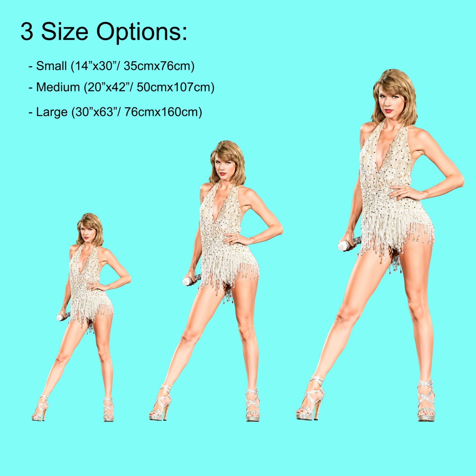 Music Fan Art 1, Star Taylor Life Size Peel & Stick Removable Cutout Wall Decal