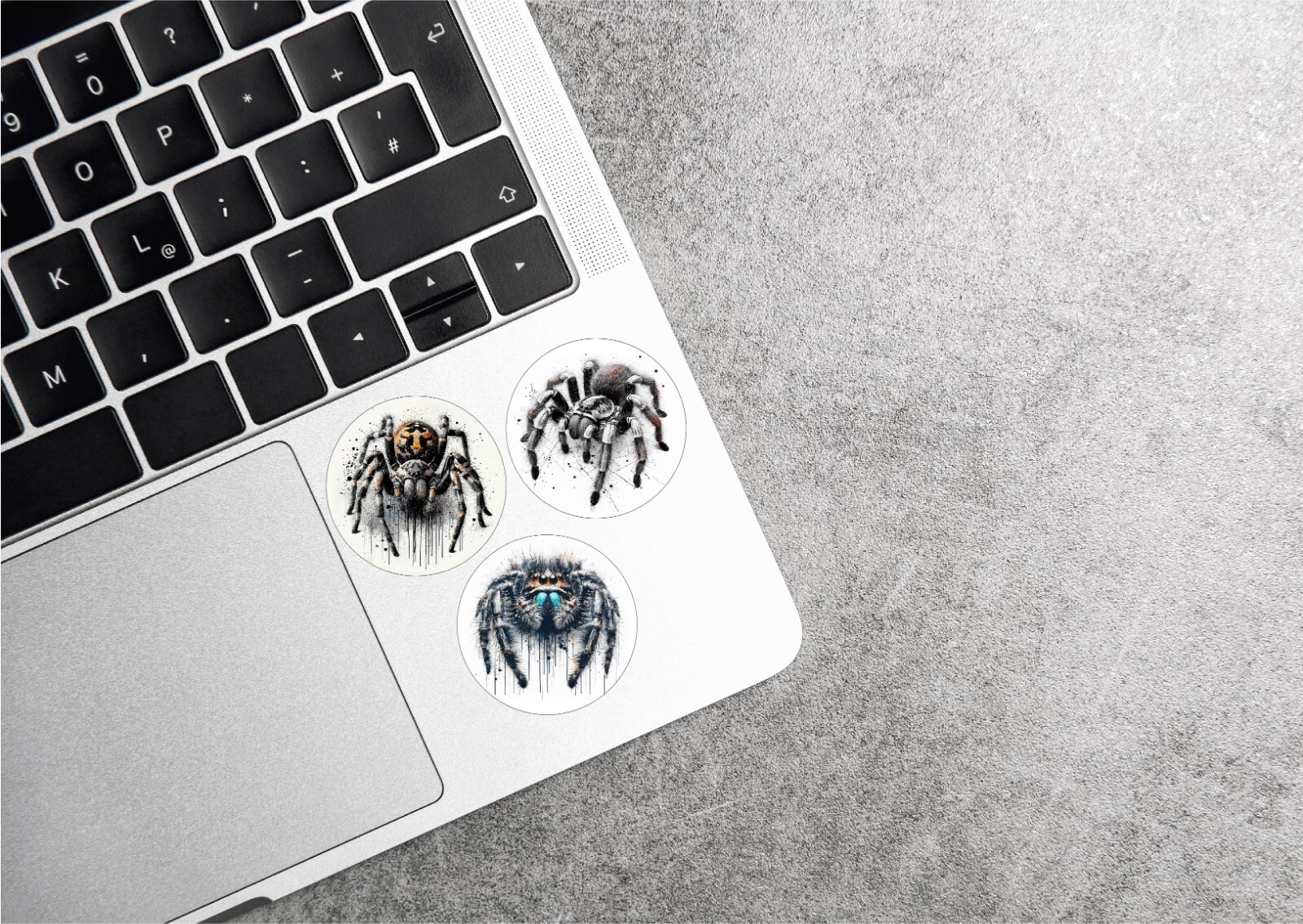 Jumping Spider Stickers Decals Set of 3 Pet Arachnid Bug Love Life Legs Web Wild
