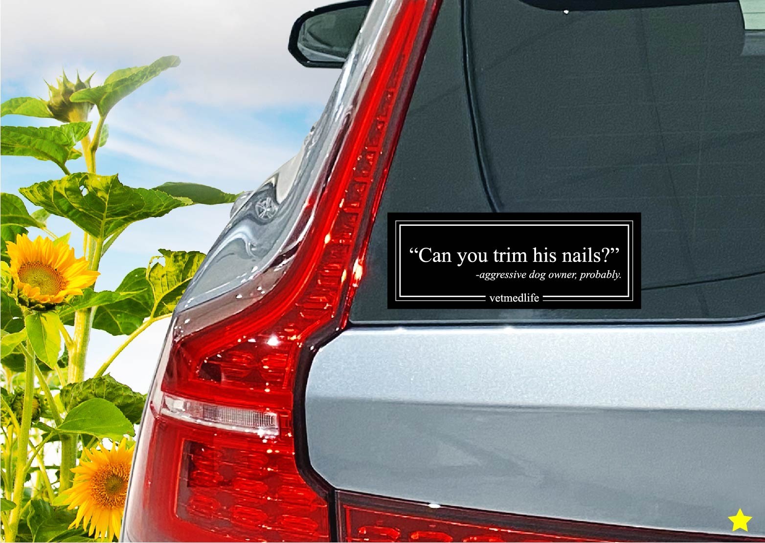 Can You Trim His Nails? Vet RVT Med Life Decal Sticker Aggressive Dog Quote Care