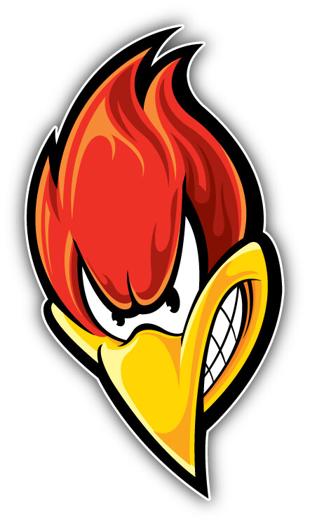 Woodpecker Head Car Bumper Sticker Decal