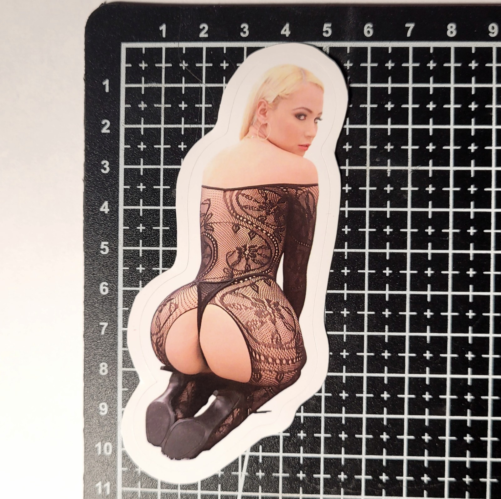 + BONUS Adult Film Actress Vinyl 13 HD Stickers Lot Booty PAWG Sexy Erotic Decor