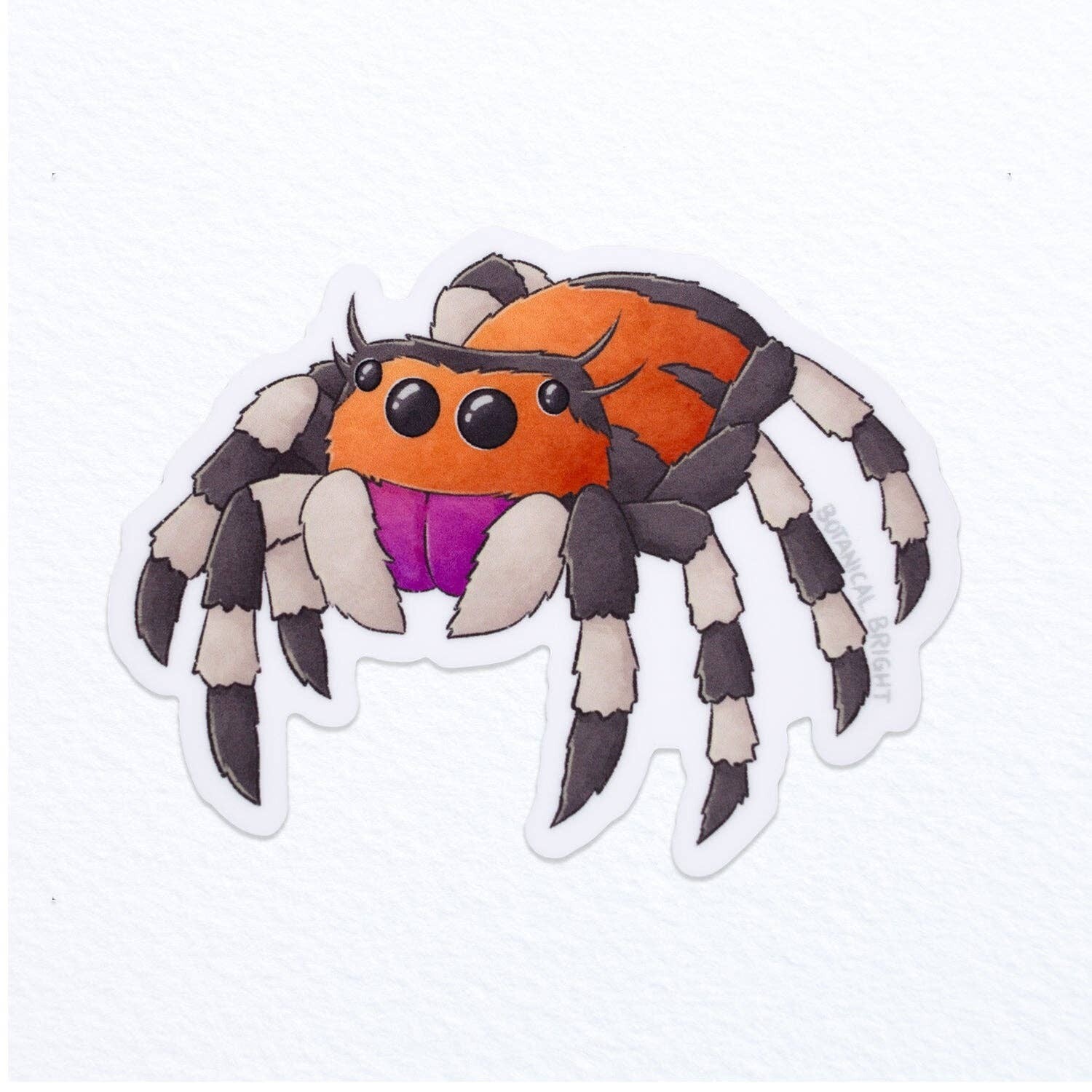 Jumping Spider Sticker – Waterproof Vinyl