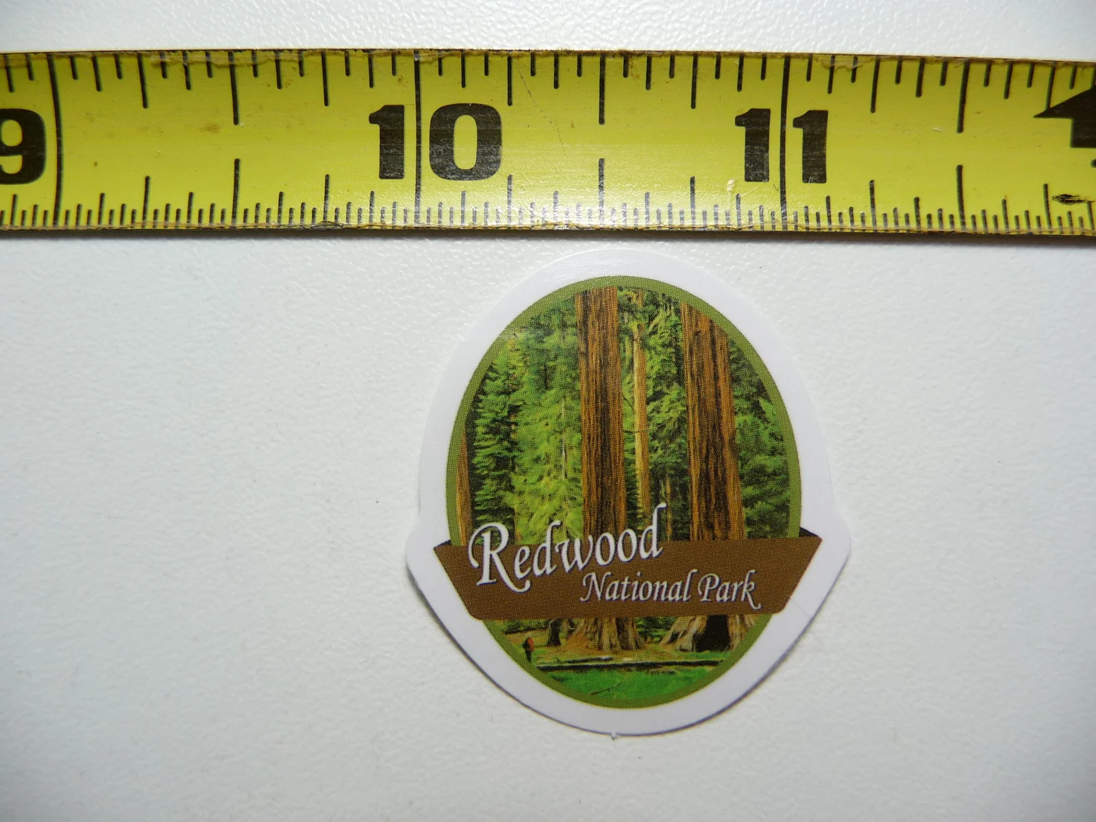 TINY REDWOOD CALIFORNIA #1 SMALL STICKER DECAL NATIONAL PARK COLLECTIBLE