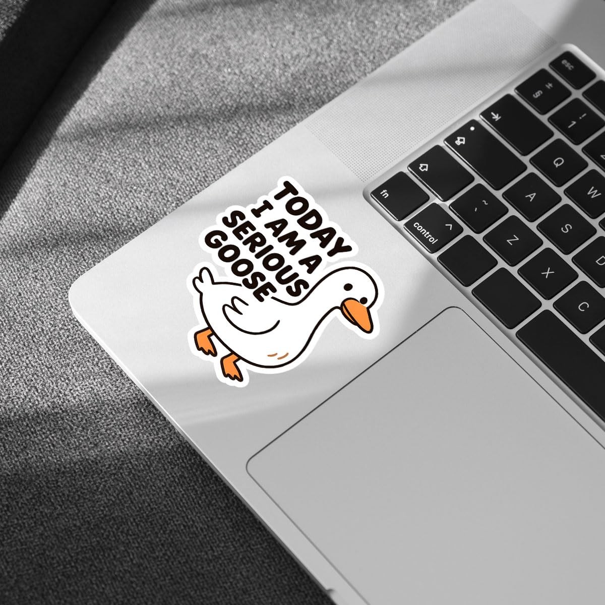 (3 Pcs) Today I Am A Serious Goose Sticker – Silly Goose Stickers – Funny Goo…